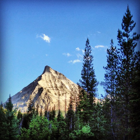 mustang howard peak from wildhorse creek trail creek