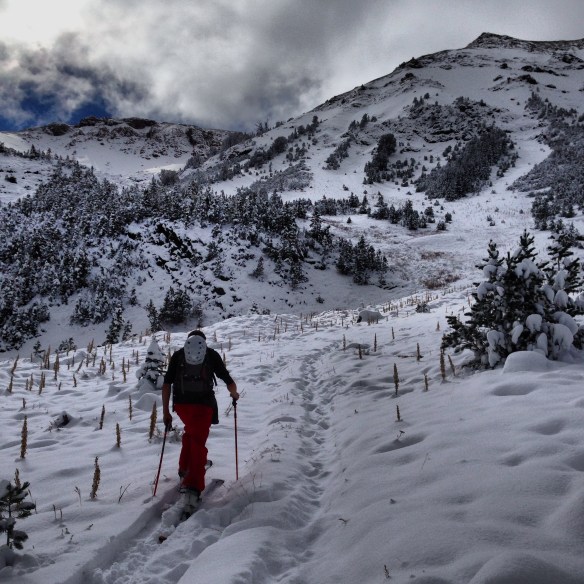 Andrew skins along the road to the Base of Phi Kappa.