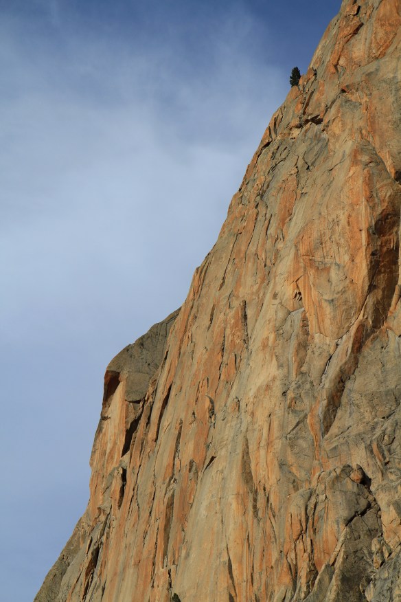 The Elephant's Perch and the "Beckey Tree."