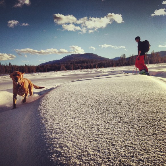 It's good to know my dog is as happy about the new snow as I am.